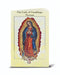 Our Lady of Guadalupe Novena Book