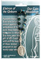 Patron Blessings One Decade Rosary - Patron of the Unborn - Our Lady of Guadalupe